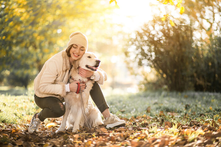 Pets and Joys